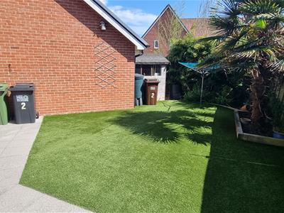 Picture 15